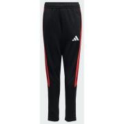 Adidas Tiro26 League Kids Training Pants Regular