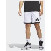 Adidas adidas Basketball Badge of Sport Shorts