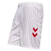 Danmark Borteshorts 2026/27