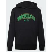 Adidas AUDI REVOLUT F1 TEAM GABRIEL BORTOLETO GRAPHIC III HOODIE