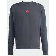 Adidas RUNNING STATE OF MIND GRAPHIC LONGSLEEVE T-Shirt